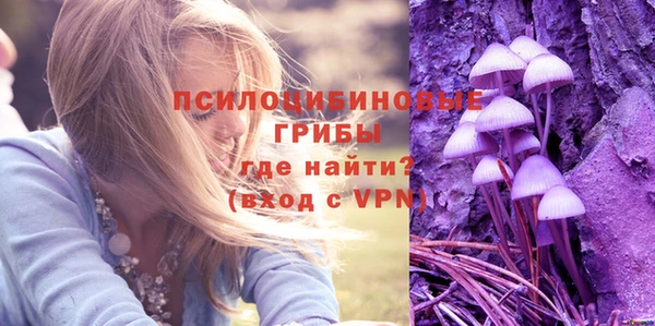 Альфа ПВП Сосновка