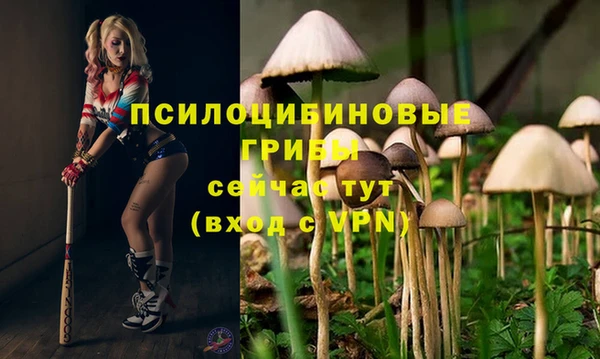 Альфа ПВП Верхний Тагил