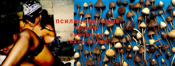 хмурый Вяземский