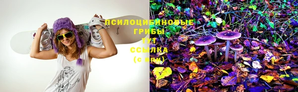Альфа ПВП Верхний Тагил