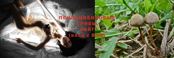 Альфа ПВП Сосновка