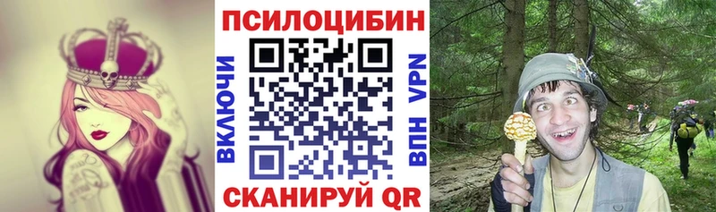 маркетплейс как зайти  Железногорск-Илимский  Псилоцибиновые грибы мицелий 